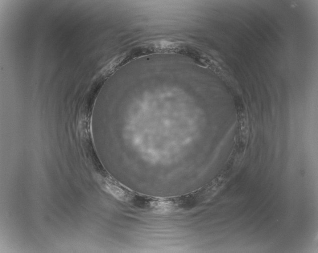 X0000078880419200612042029