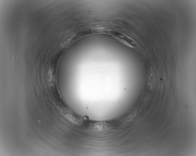 X0000078880420200612042029