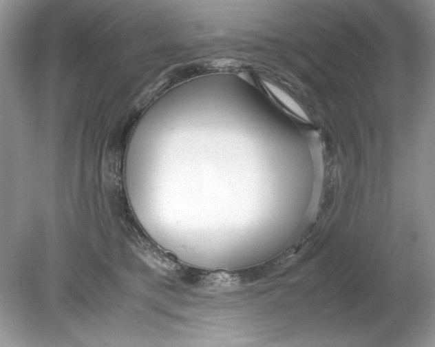 X0000078880421200612042029