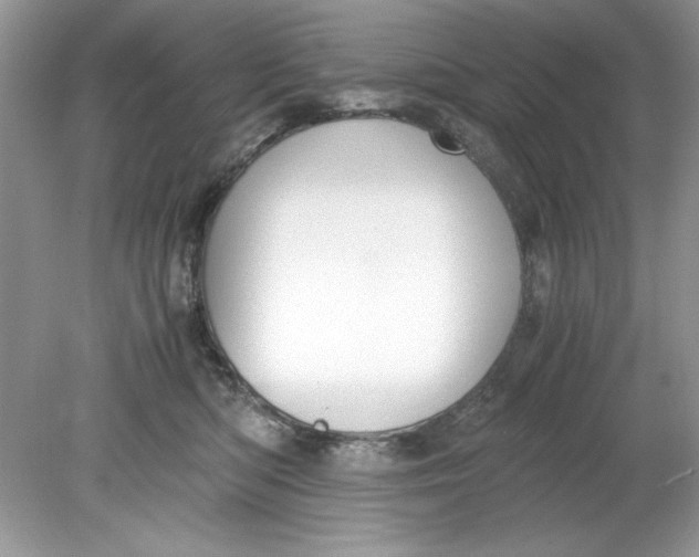 X0000078880422200612042029