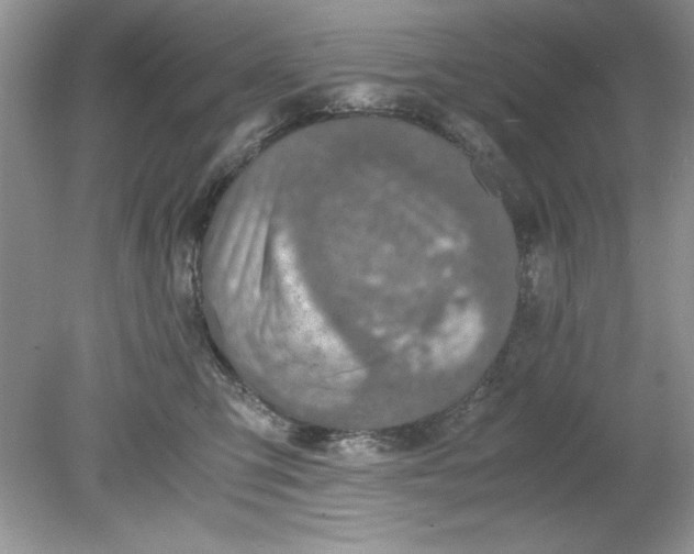 X0000078880423200612042029