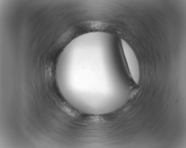 X0000078880424200612042029