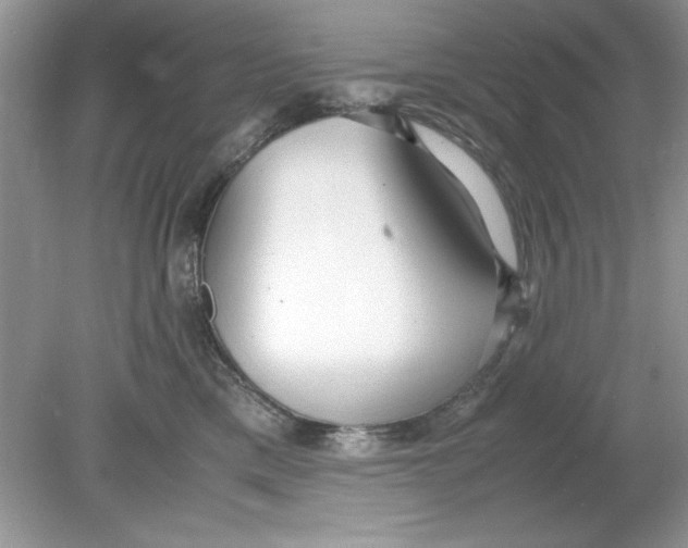 X0000078880425200612042029