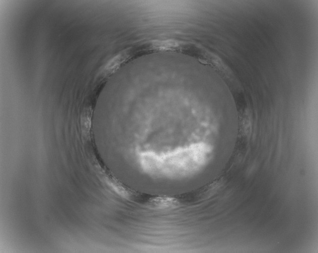 X0000078880427200612042029