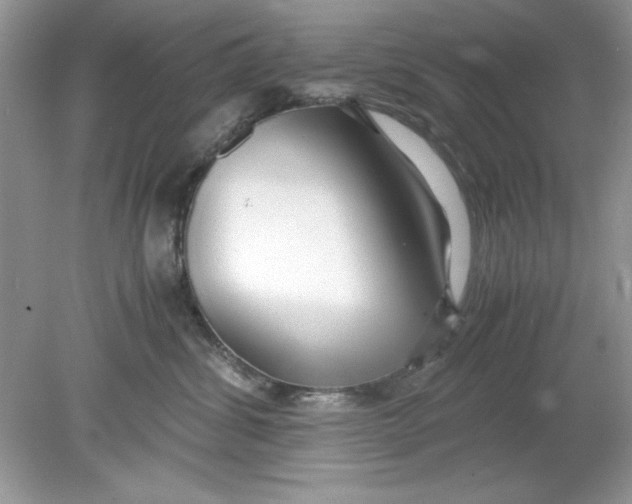 X0000078880428200612042029