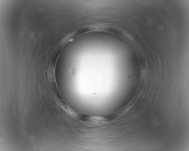 X0000078880429200612042029