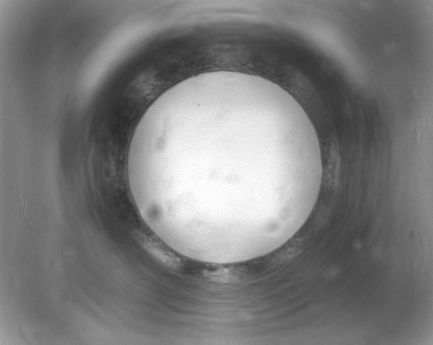 X0000078880430200612042029