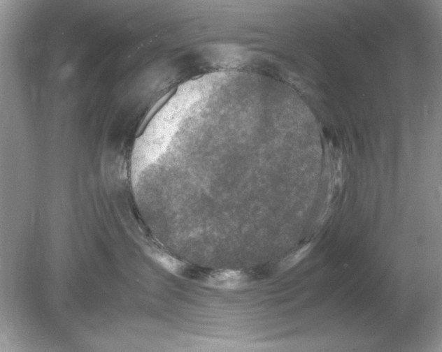 X0000078880431200612042029