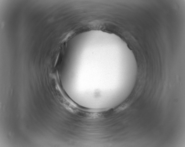 X0000078880432200612042029