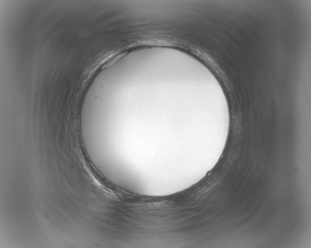 X0000078880433200612042028