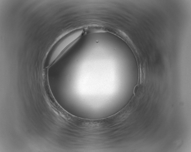 X0000078880435200612042028