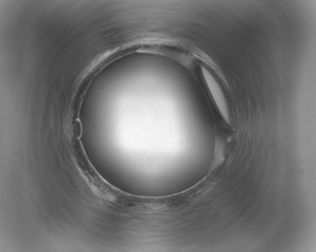 X0000078880436200612042028