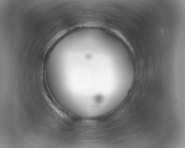 X0000078880437200612042028