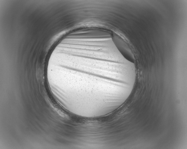 X0000078880438200612042028