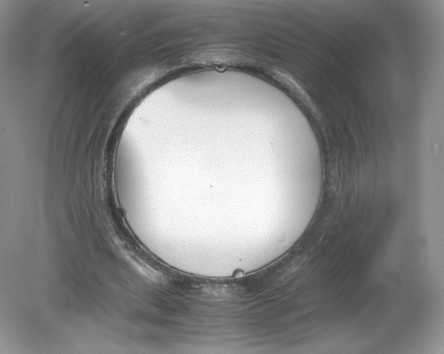 X0000078880439200612042028