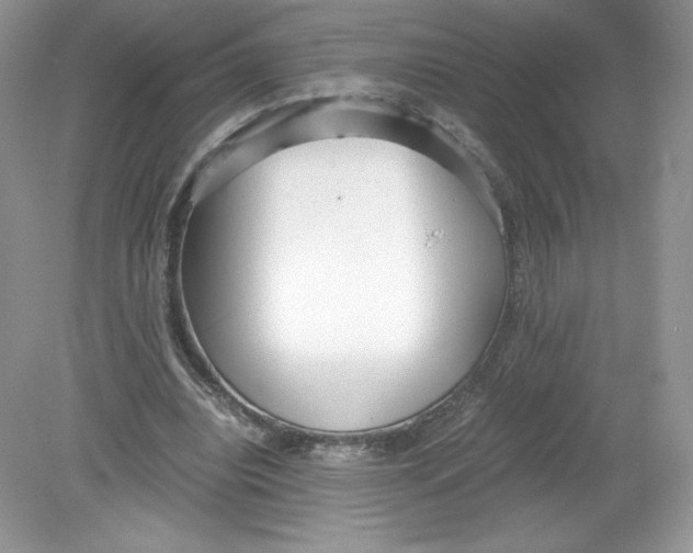 X0000078880440200612042028