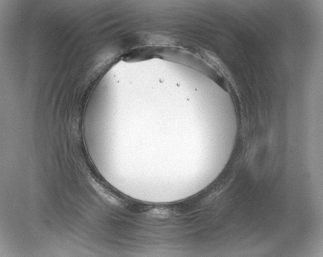 X0000078880441200612042028