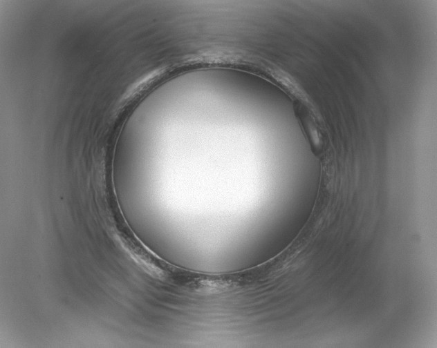 X0000078880442200612042028