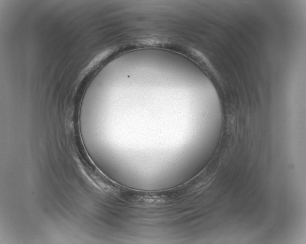 X0000078880443200612042028