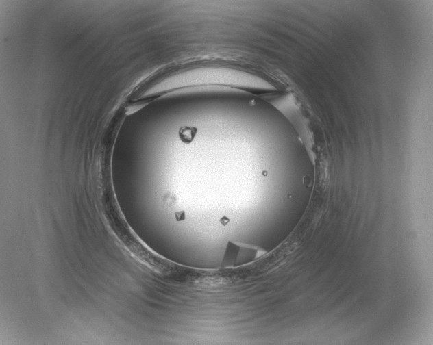 X0000078880444200612042028