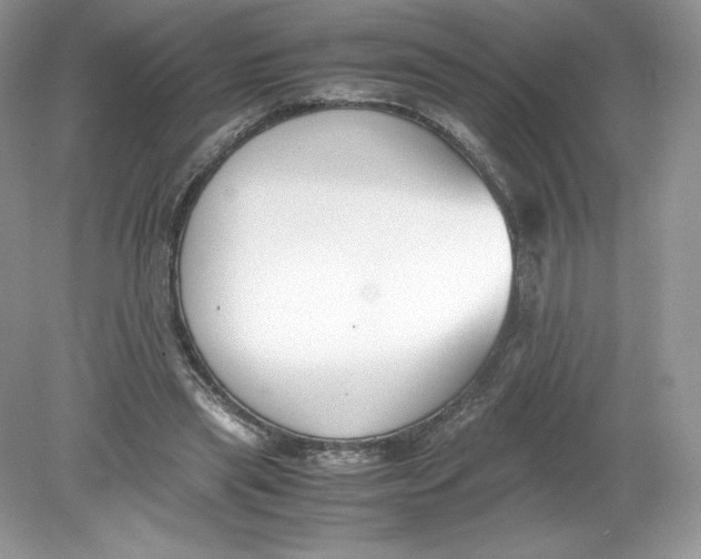 X0000078880445200612042028