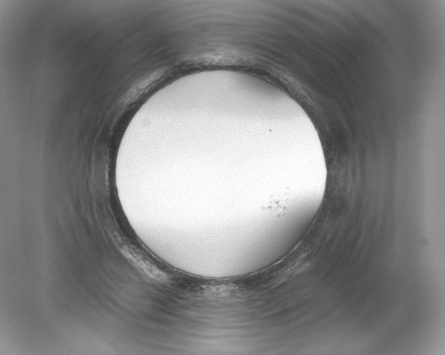 X0000078880446200612042028