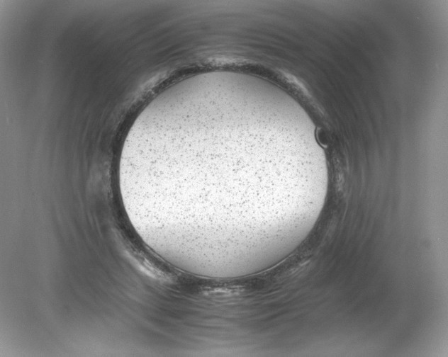 X0000078880447200612042028