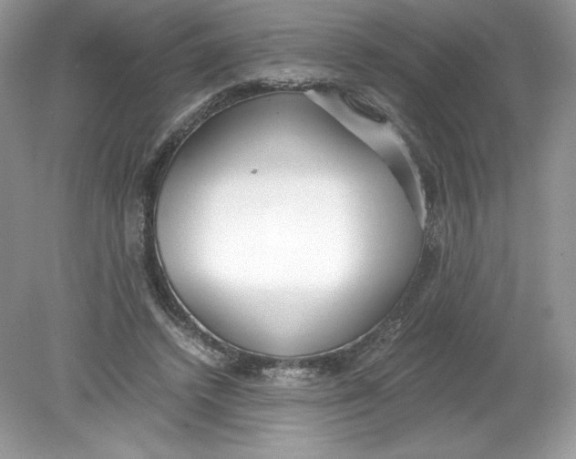 X0000078880448200612042028