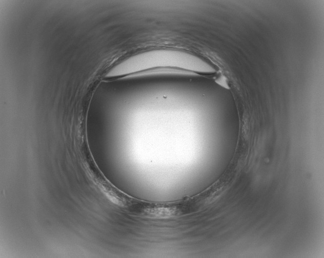 X0000078880449200612042028