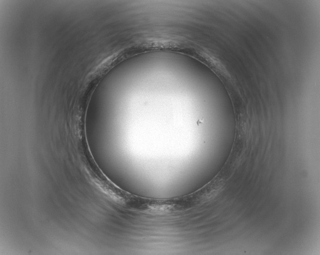 X0000078880450200612042028