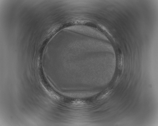 X0000078880451200612042028