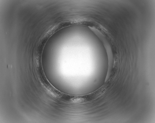 X0000078880452200612042028