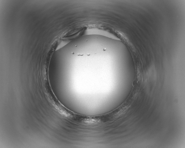 X0000078880453200612042028