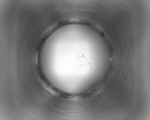 X0000078880454200612042028