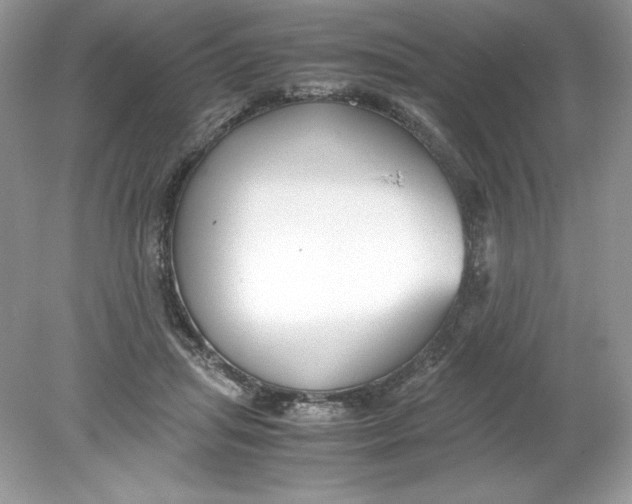 X0000078880455200612042028