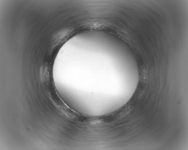 X0000078880456200612042028