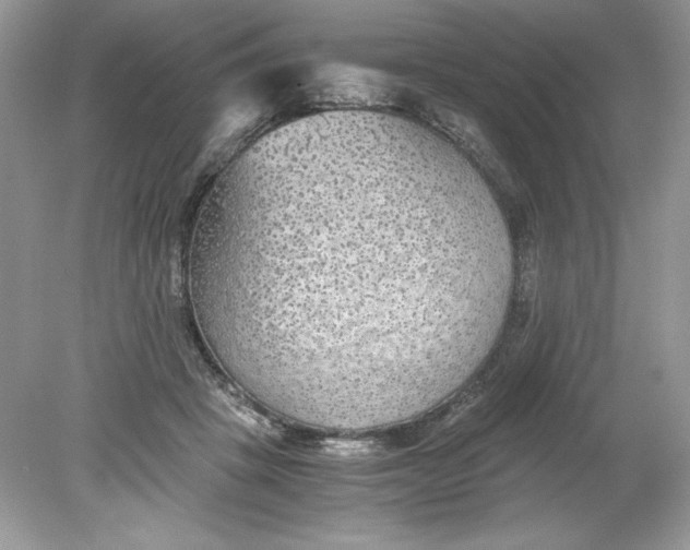 X0000078880457200612042028