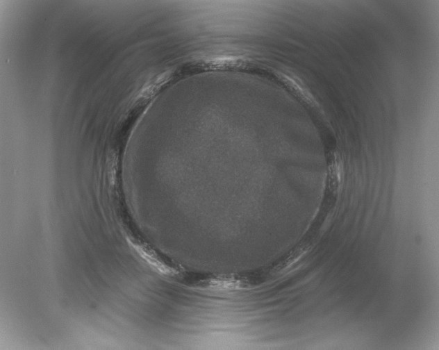 X0000078880458200612042028