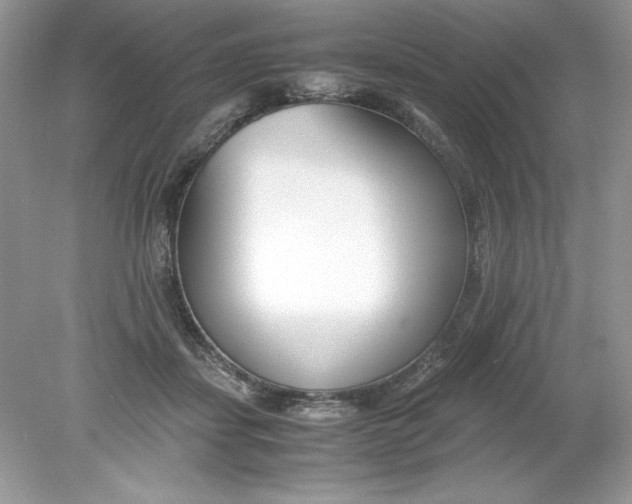 X0000078880459200612042028