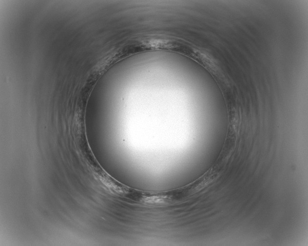 X0000078880461200612042029