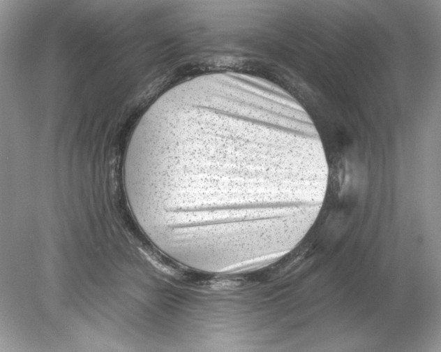 X0000078880462200612042029