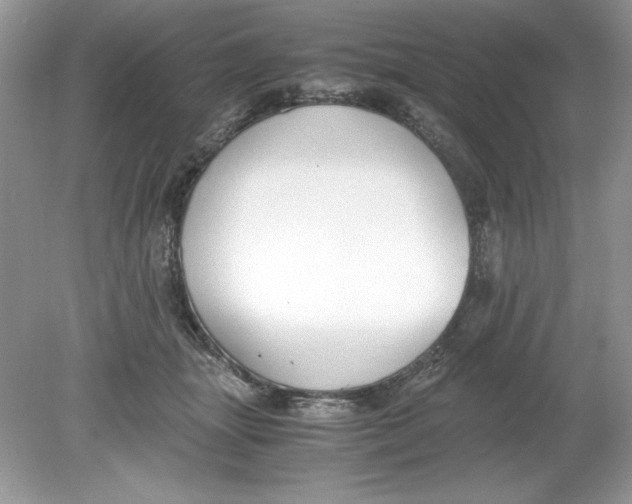 X0000078880463200612042029