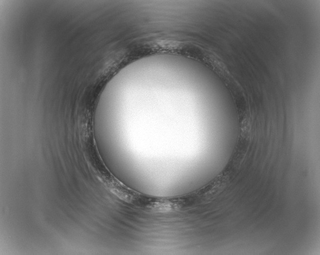 X0000078880464200612042029