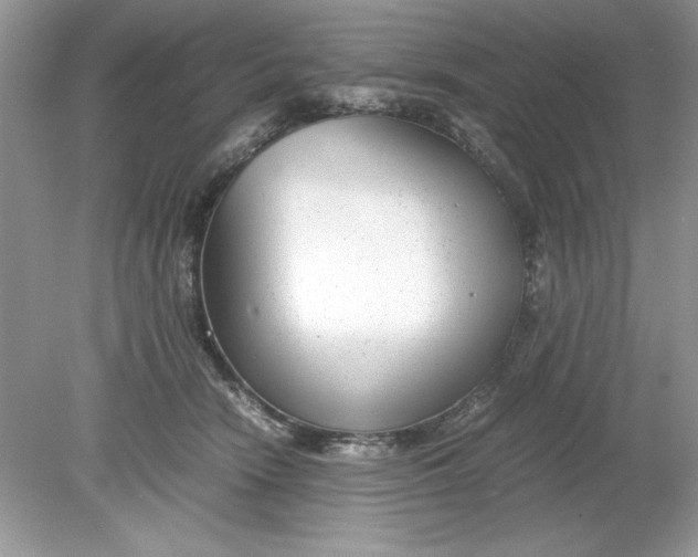 X0000078880466200612042029