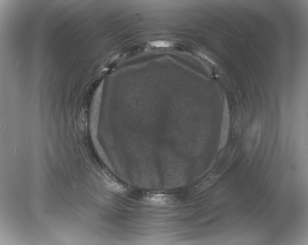 X0000078880467200612042029