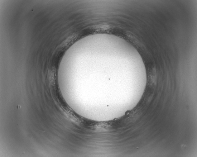 X0000078880468200612042029