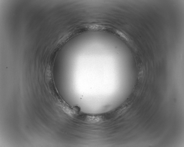 X0000078880469200612042029