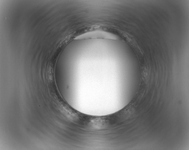 X0000078880470200612042029