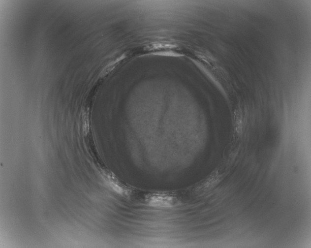 X0000078880471200612042029