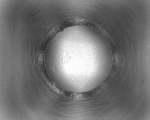 X0000078880472200612042029